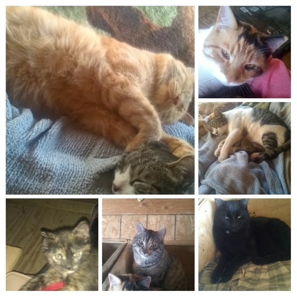 Dottie Stuart - Picture 5 of 8